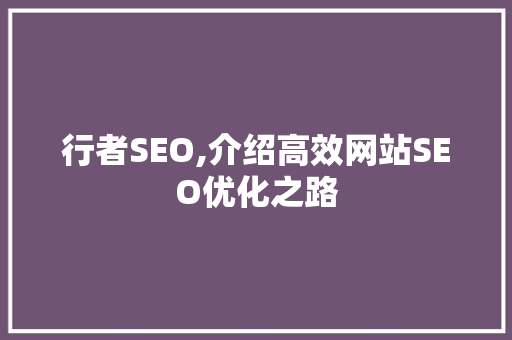 行者SEO,介绍高效网站SEO优化之路