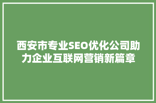 西安市专业SEO优化公司助力企业互联网营销新篇章