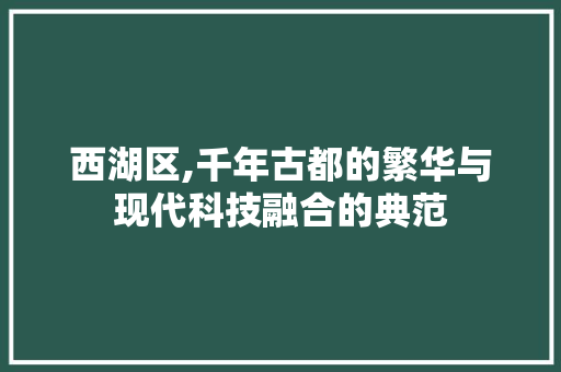 西湖区,千年古都的繁华与现代科技融合的典范