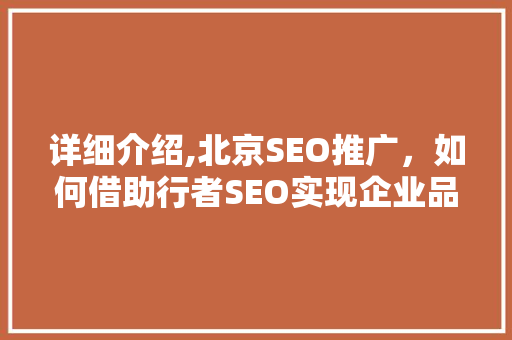 详细介绍,北京SEO推广，如何借助行者SEO实现企业品牌提升