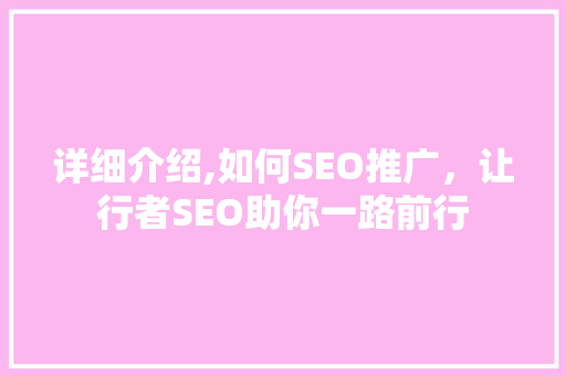 详细介绍,如何SEO推广，让行者SEO助你一路前行