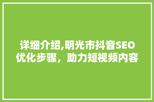 详细介绍,明光市抖音SEO优化步骤，助力短视频内容脱颖而出