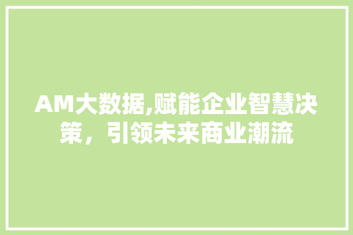 AM大数据,赋能企业智慧决策，引领未来商业潮流