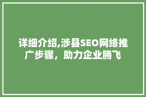 详细介绍,涉县SEO网络推广步骤，助力企业腾飞