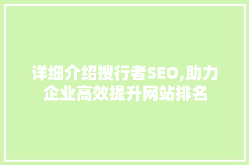 详细介绍搜行者SEO,助力企业高效提升网站排名