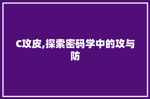 C攻皮,探索密码学中的攻与防