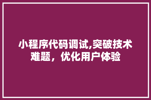 小程序代码调试,突破技术难题，优化用户体验