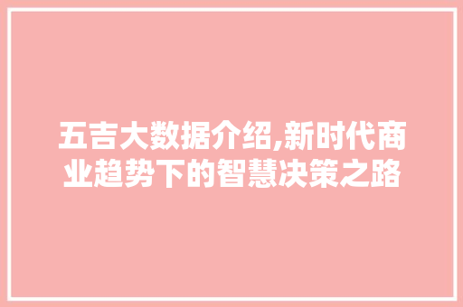 五吉大数据介绍,新时代商业趋势下的智慧决策之路