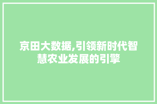 京田大数据,引领新时代智慧农业发展的引擎 网站建设