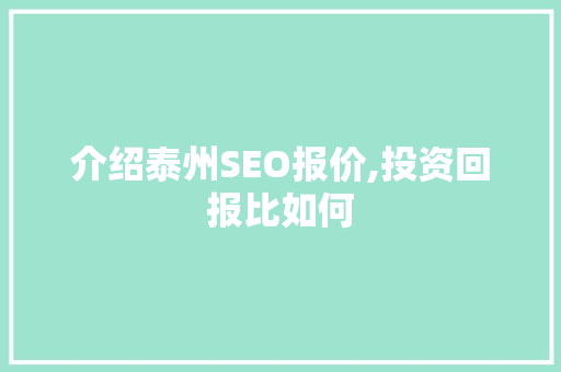 介绍泰州SEO报价,投资回报比如何