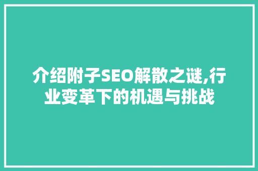 介绍附子SEO解散之谜,行业变革下的机遇与挑战