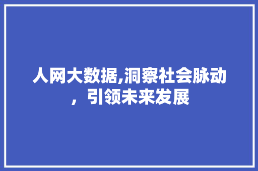 人网大数据,洞察社会脉动，引领未来发展