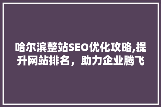 哈尔滨整站SEO优化攻略,提升网站排名，助力企业腾飞