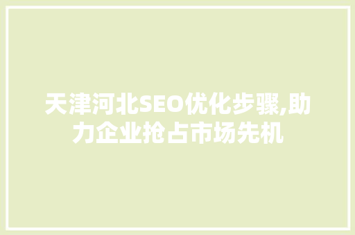 天津河北SEO优化步骤,助力企业抢占市场先机