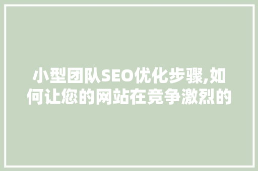 小型团队SEO优化步骤,如何让您的网站在竞争激烈的市场中脱颖而出