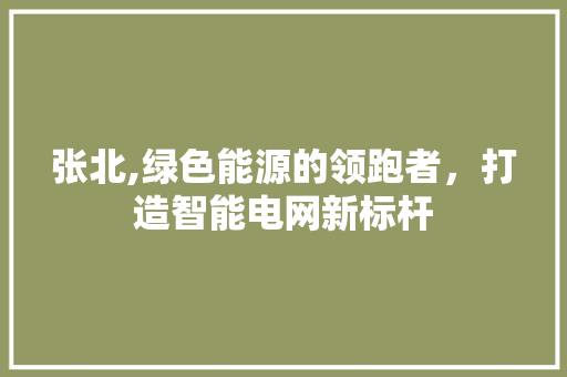张北,绿色能源的领跑者，打造智能电网新标杆