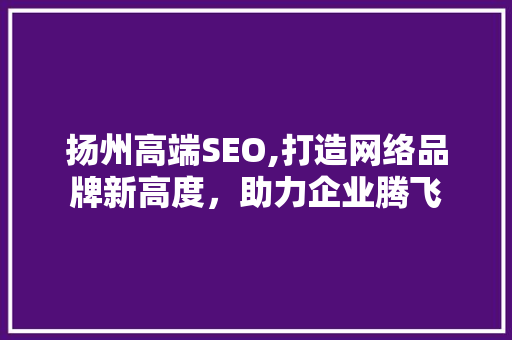 扬州高端SEO,打造网络品牌新高度，助力企业腾飞