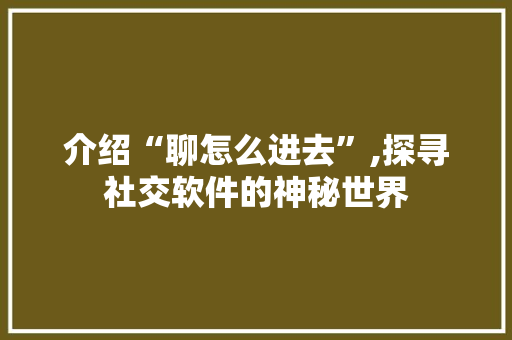 介绍“聊怎么进去”,探寻社交软件的神秘世界