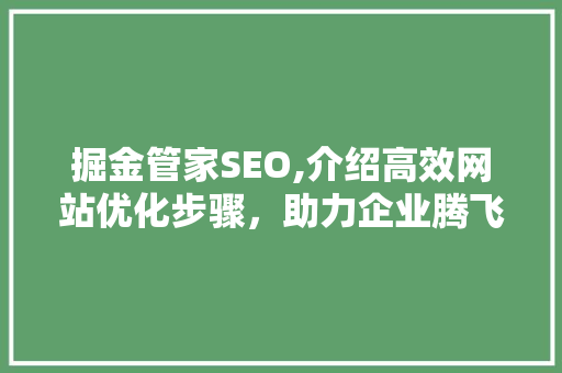 掘金管家SEO,介绍高效网站优化步骤，助力企业腾飞
