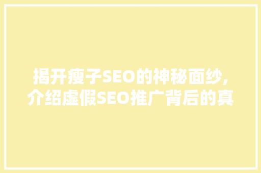 揭开瘦子SEO的神秘面纱,介绍虚假SEO推广背后的真相