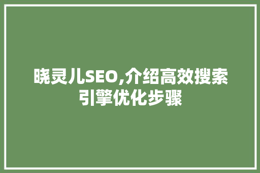 晓灵儿SEO,介绍高效搜索引擎优化步骤