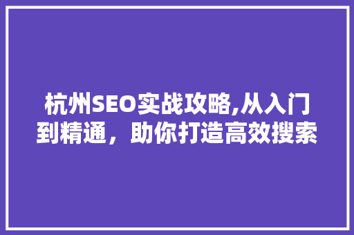杭州SEO实战攻略,从入门到精通，助你打造高效搜索引擎优化步骤