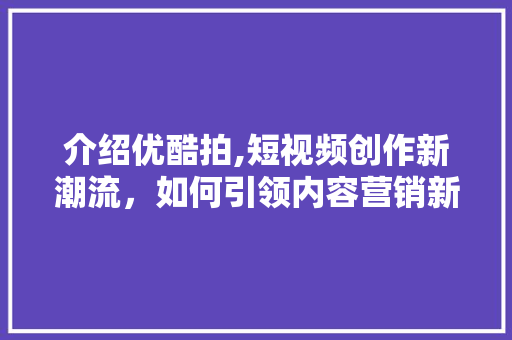 介绍优酷拍,短视频创作新潮流，如何引领内容营销新风向