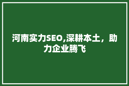 河南实力SEO,深耕本土，助力企业腾飞