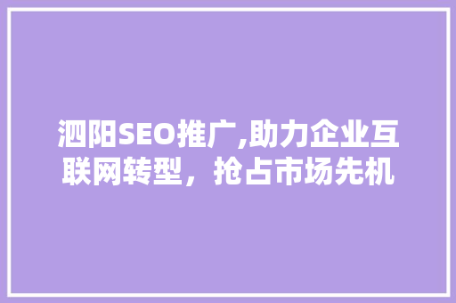 泗阳SEO推广,助力企业互联网转型，抢占市场先机
