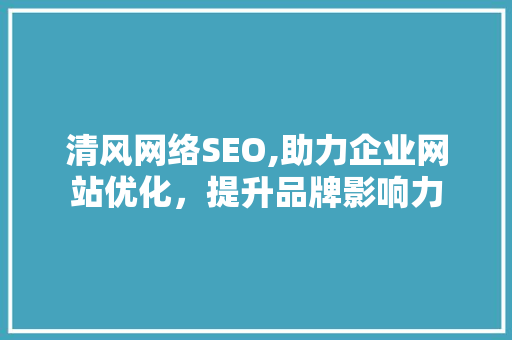 清风网络SEO,助力企业网站优化，提升品牌影响力
