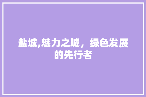 盐城,魅力之城，绿色发展的先行者