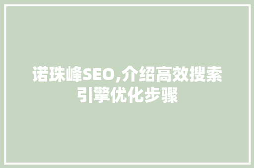 诺珠峰SEO,介绍高效搜索引擎优化步骤