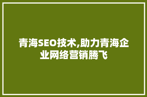 青海SEO技术,助力青海企业网络营销腾飞