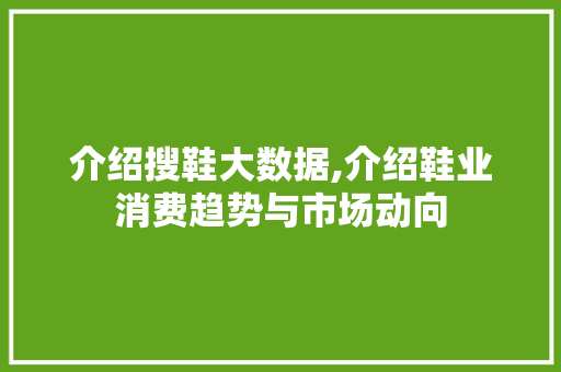 介绍搜鞋大数据,介绍鞋业消费趋势与市场动向