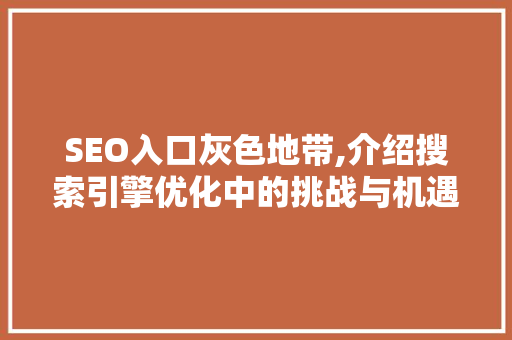 SEO入口灰色地带,介绍搜索引擎优化中的挑战与机遇
