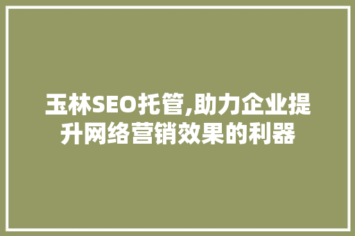玉林SEO托管,助力企业提升网络营销效果的利器