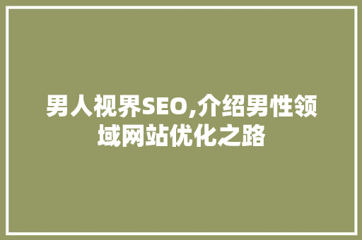 男人视界SEO,介绍男性领域网站优化之路