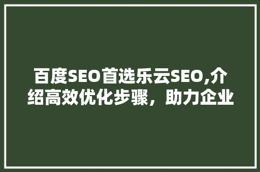 百度SEO首选乐云SEO,介绍高效优化步骤，助力企业网站脱颖而出