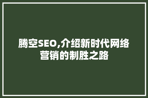 腾空SEO,介绍新时代网络营销的制胜之路