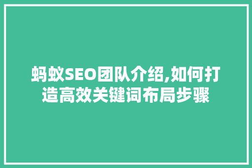 蚂蚁SEO团队介绍,如何打造高效关键词布局步骤