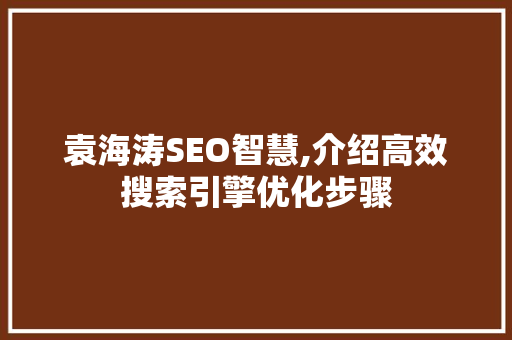 袁海涛SEO智慧,介绍高效搜索引擎优化步骤