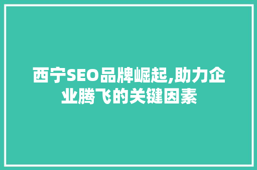 西宁SEO品牌崛起,助力企业腾飞的关键因素