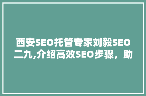 西安SEO托管专家刘毅SEO二九,介绍高效SEO步骤，助力企业互联网营销