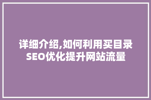 详细介绍,如何利用买目录SEO优化提升网站流量
