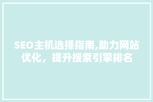 SEO主机选择指南,助力网站优化，提升搜索引擎排名