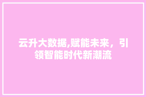 云升大数据,赋能未来，引领智能时代新潮流