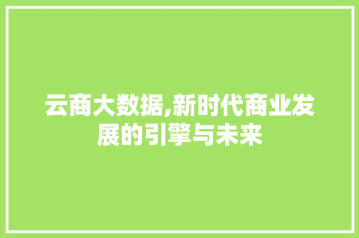 云商大数据,新时代商业发展的引擎与未来