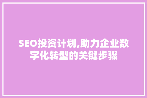 SEO投资计划,助力企业数字化转型的关键步骤