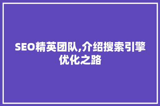 SEO精英团队,介绍搜索引擎优化之路