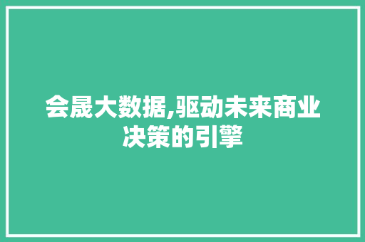 会晟大数据,驱动未来商业决策的引擎 前端技术